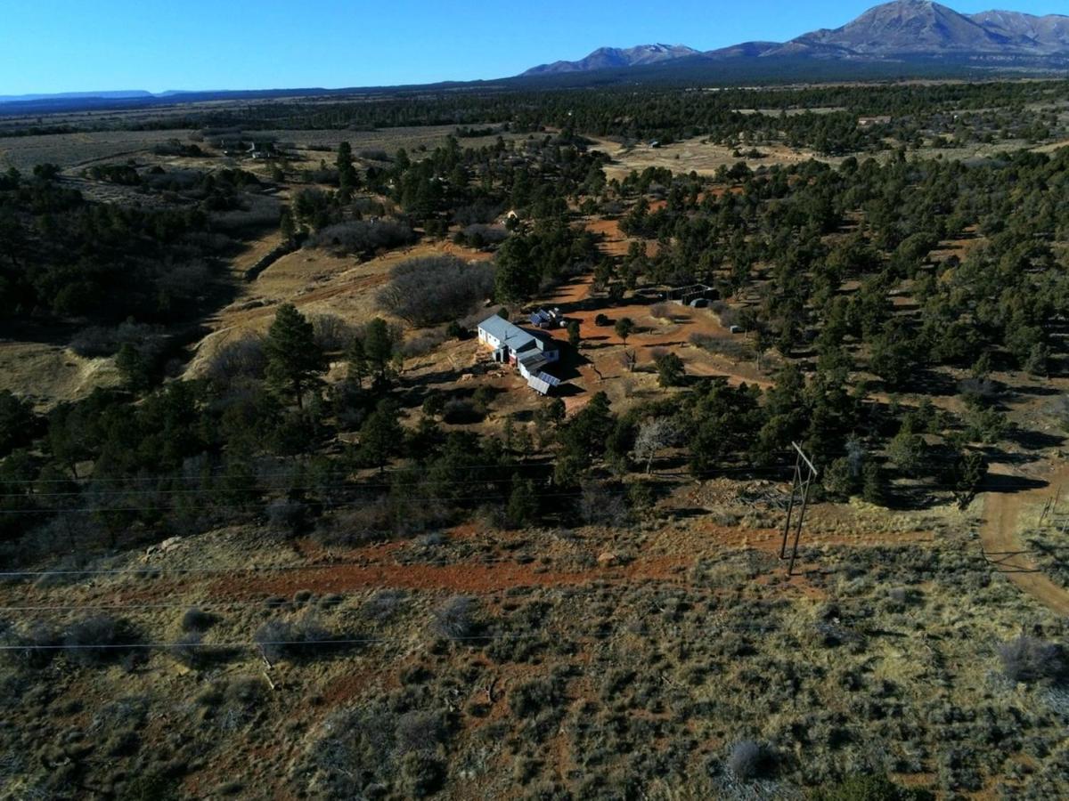 Indian Canyon Ranch Verdure Εξωτερικό φωτογραφία
