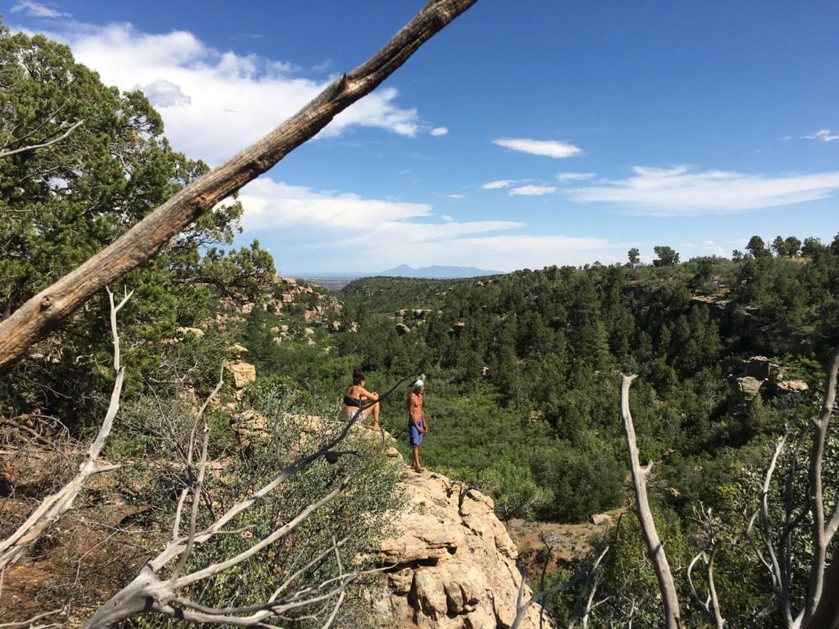 Indian Canyon Ranch Verdure Εξωτερικό φωτογραφία