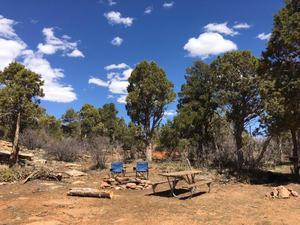 Indian Canyon Ranch Verdure Εξωτερικό φωτογραφία