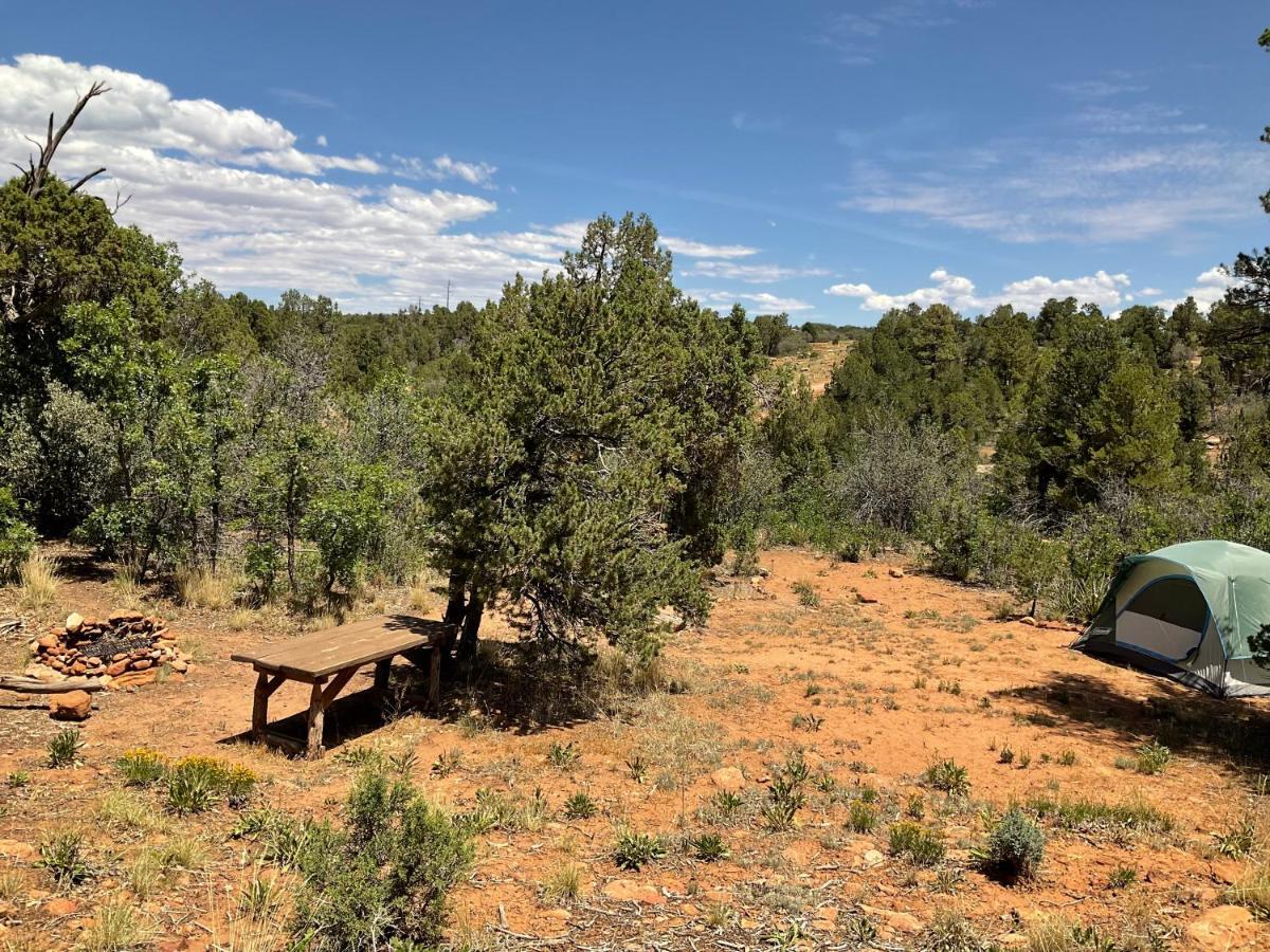 Indian Canyon Ranch Verdure Εξωτερικό φωτογραφία
