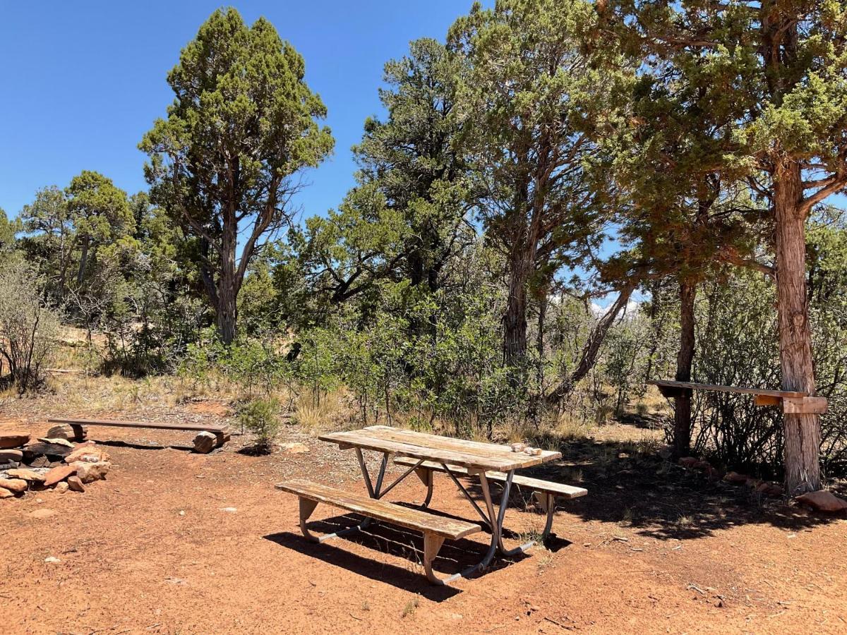 Indian Canyon Ranch Verdure Εξωτερικό φωτογραφία